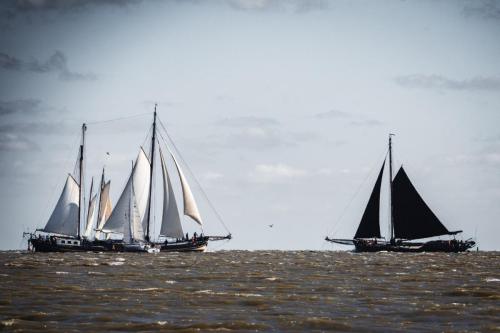 4. Michael Vermorken