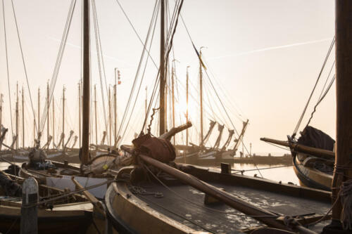 Zo-mooi-in-het-zonnetje